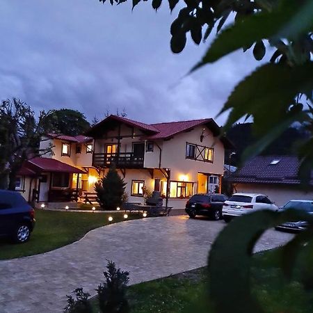Casa Cu Flori Hotel Szászbuda Kültér fotó