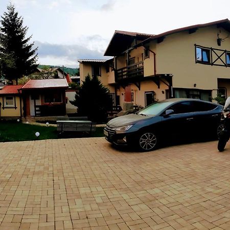 Casa Cu Flori Hotel Szászbuda Kültér fotó