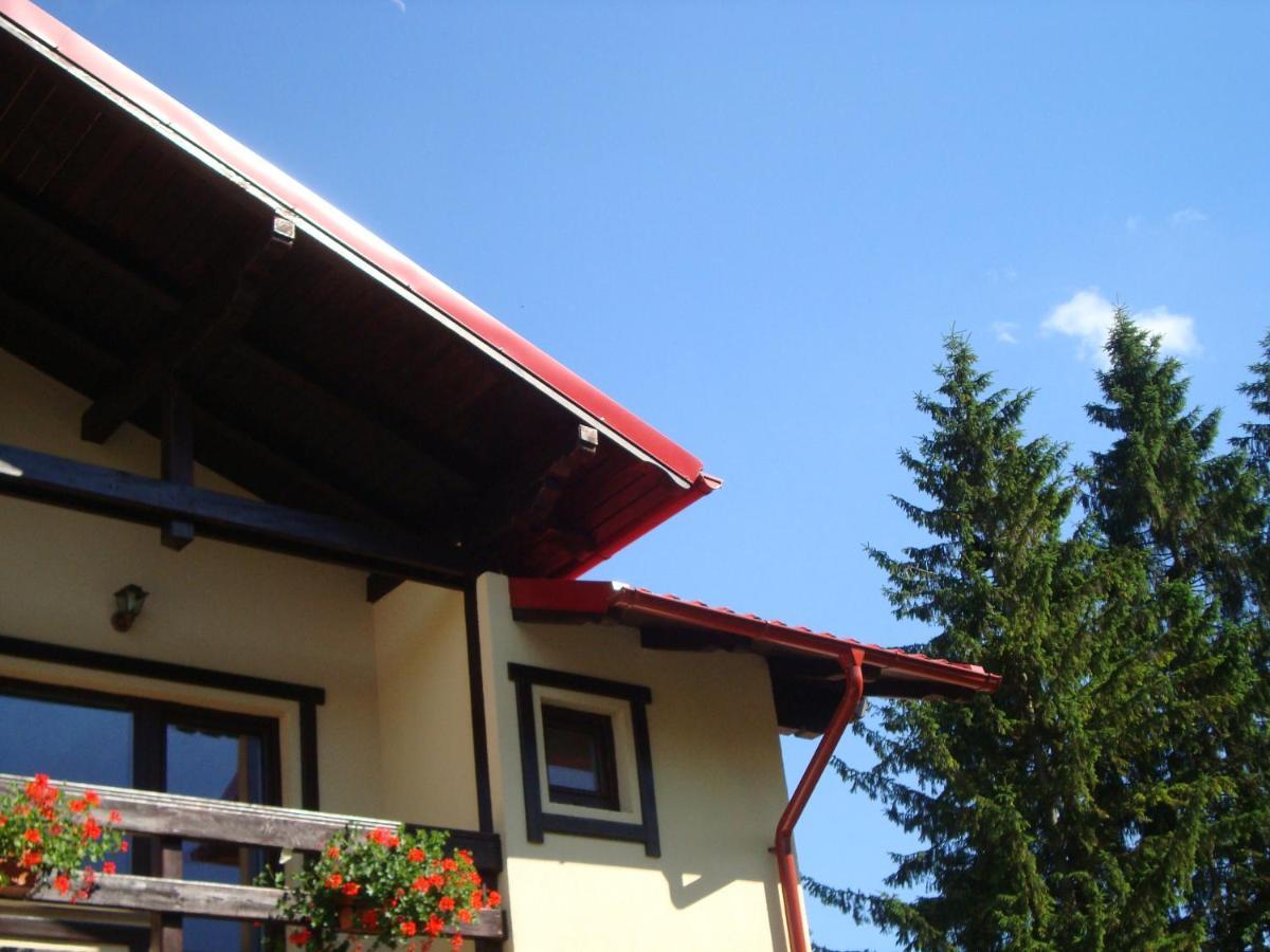 Casa Cu Flori Hotel Szászbuda Kültér fotó