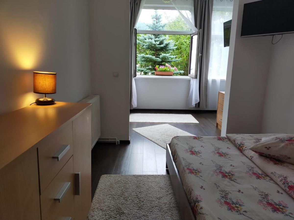 Casa Cu Flori Hotel Szászbuda Kültér fotó