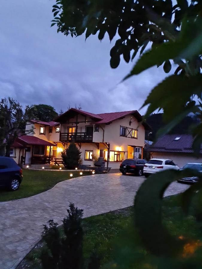 Casa Cu Flori Hotel Szászbuda Kültér fotó