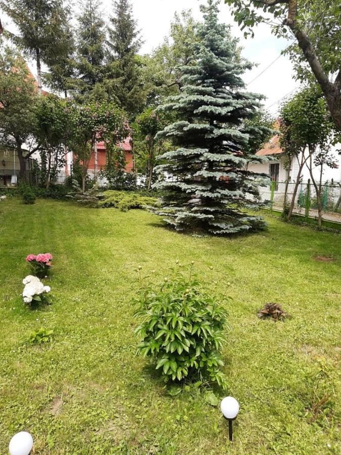 Casa Cu Flori Hotel Szászbuda Kültér fotó
