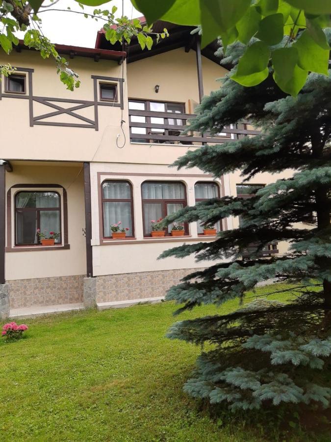 Casa Cu Flori Hotel Szászbuda Kültér fotó