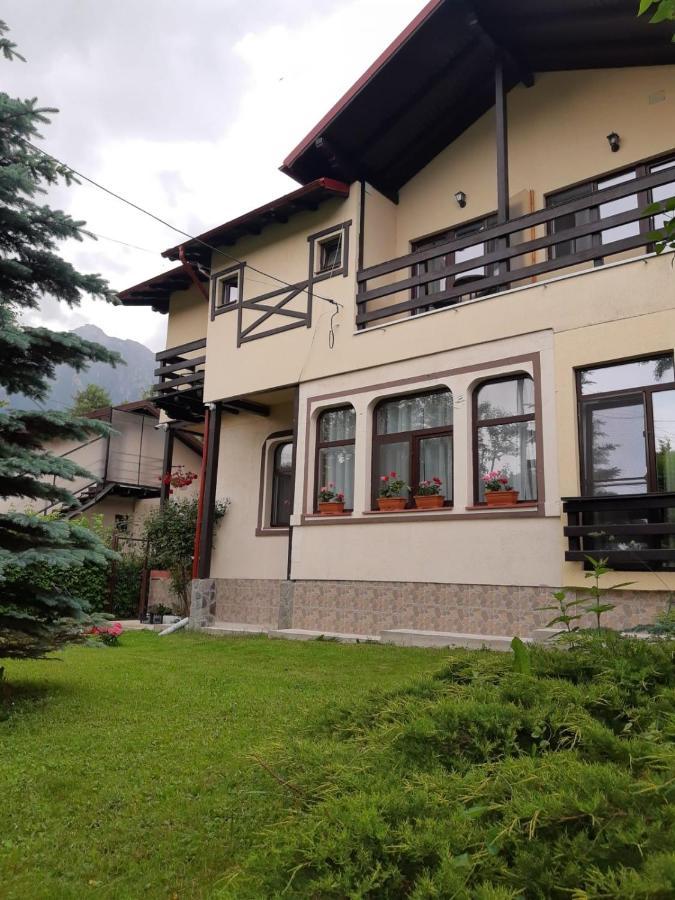 Casa Cu Flori Hotel Szászbuda Kültér fotó