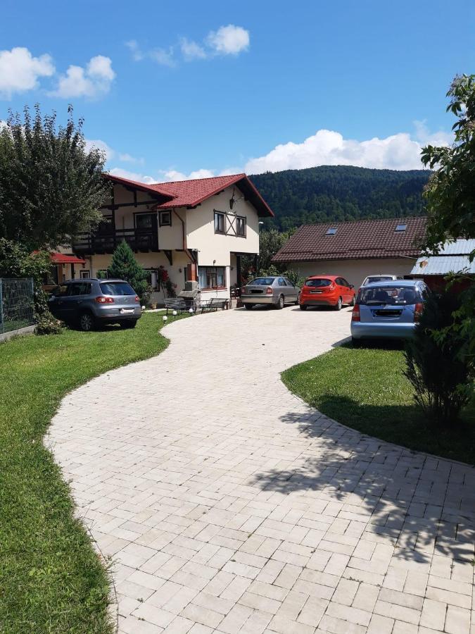 Casa Cu Flori Hotel Szászbuda Kültér fotó