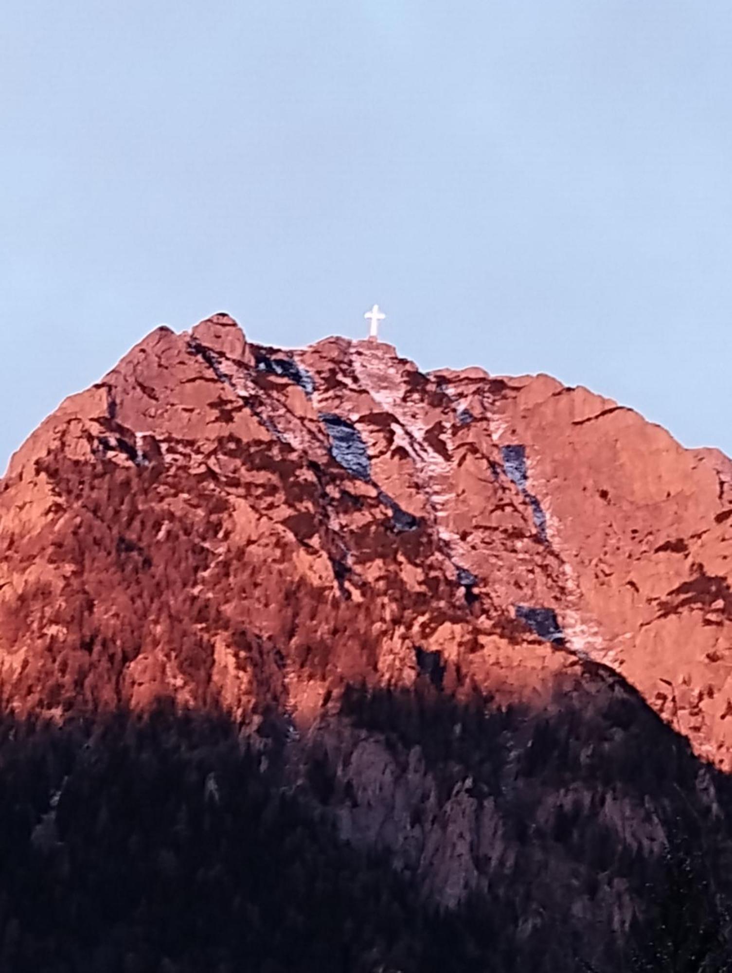 Casa Cu Flori Hotel Szászbuda Kültér fotó