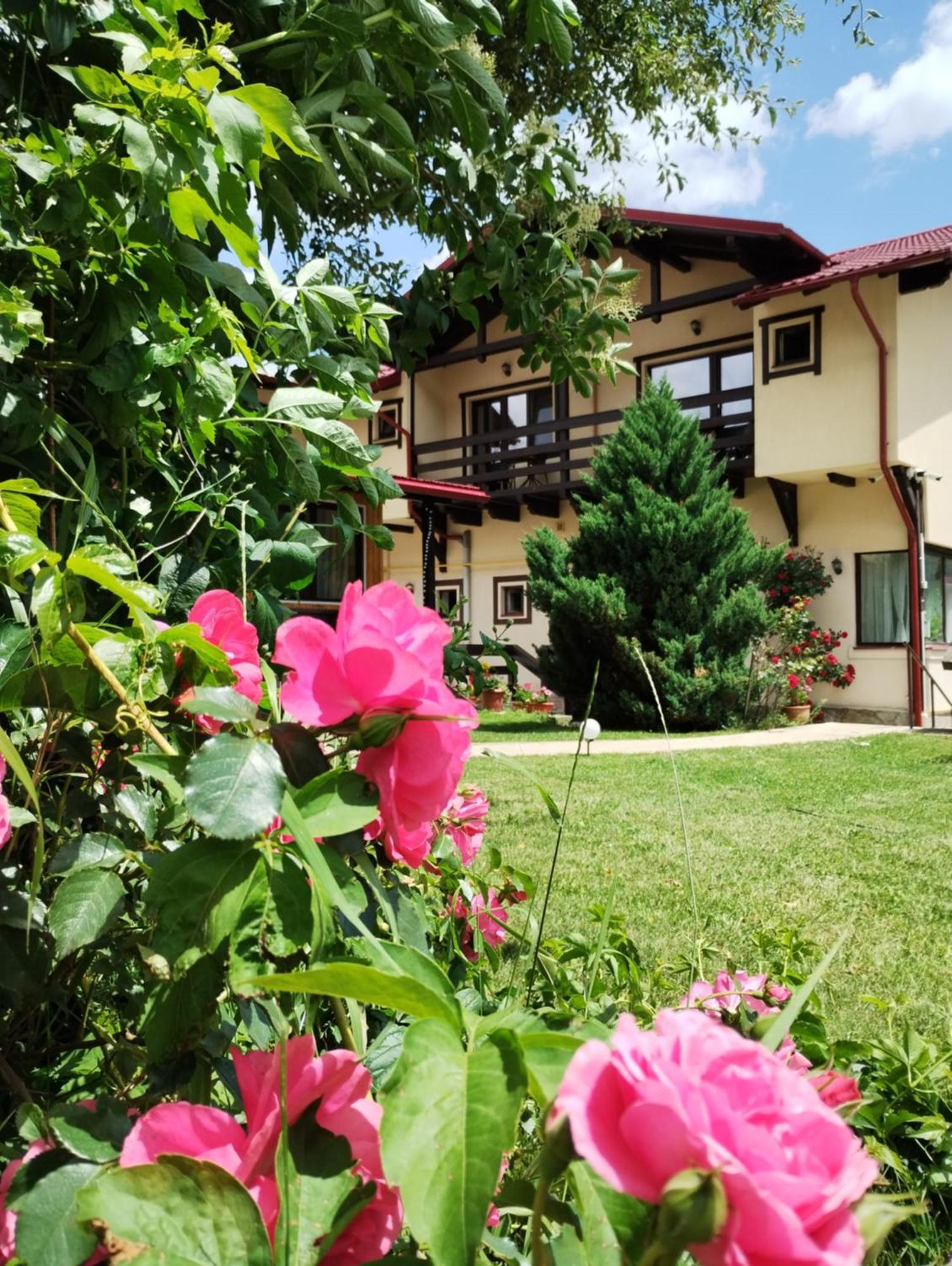 Casa Cu Flori Hotel Szászbuda Kültér fotó